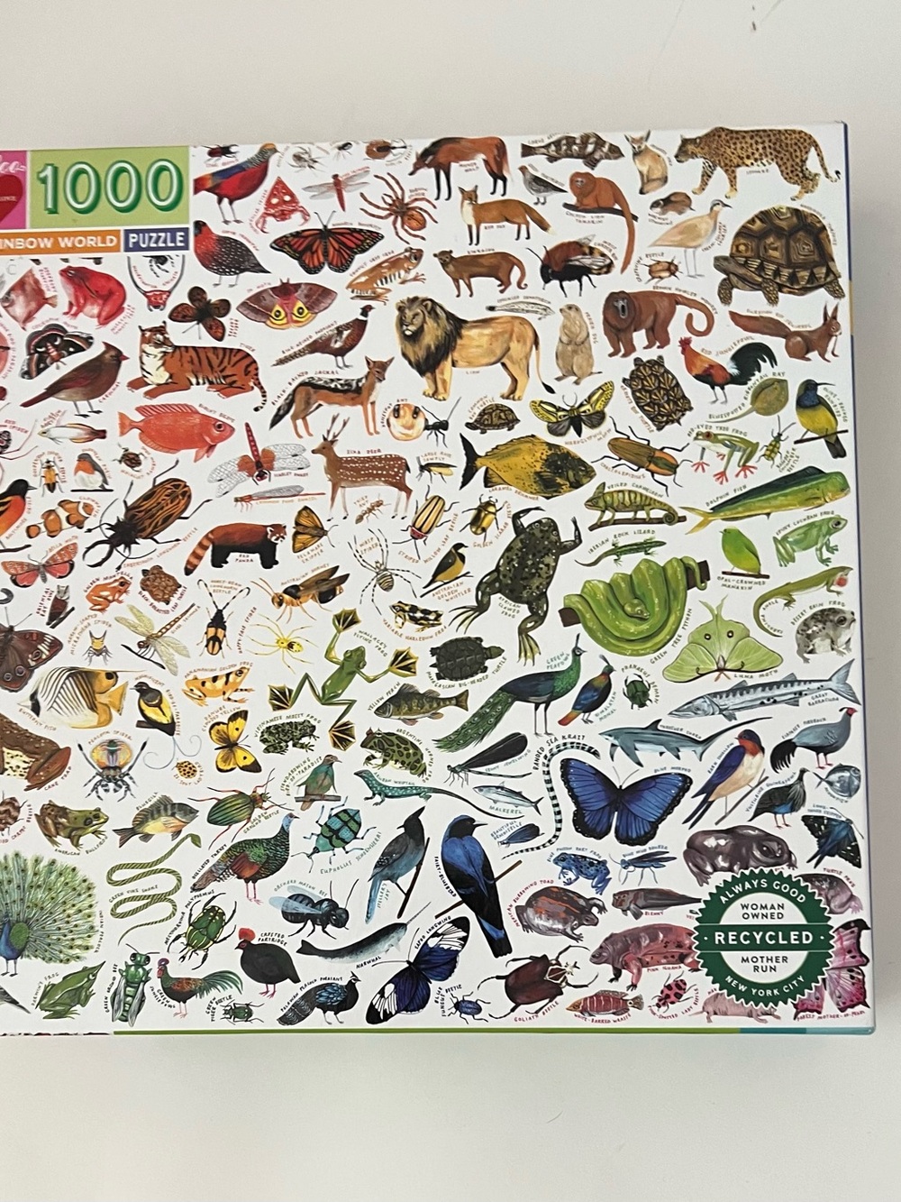Rainbow World 1000-Piece Wildlife Puzzle — Green & Multicolor